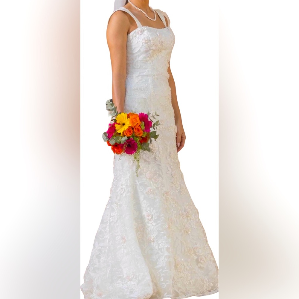 Wedding dress, David’s bridal very pretty